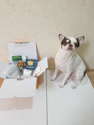 mini unni님이 올린 리뷰 사진 3
