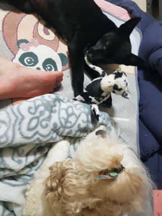 조소민님이 올린 리뷰 사진 1