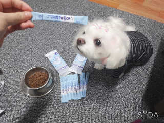 두부님이 올린 리뷰 사진 1
