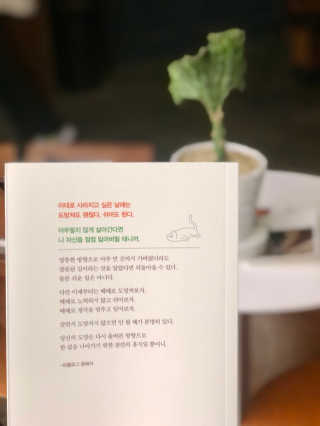 지연님이 올린 리뷰 사진 4