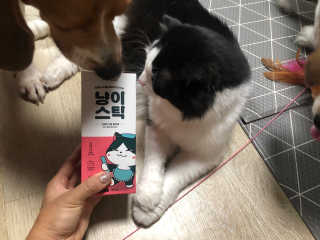 cobemom님이 올린 리뷰 사진 1