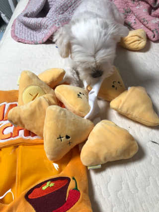 아니님이 올린 리뷰 사진 2