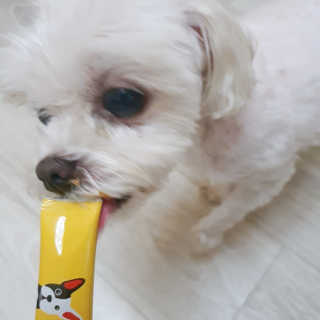 라임님이 올린 리뷰 사진 1
