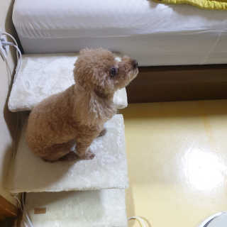뚠꾸뚠꾸💕님이 올린 리뷰 사진 2