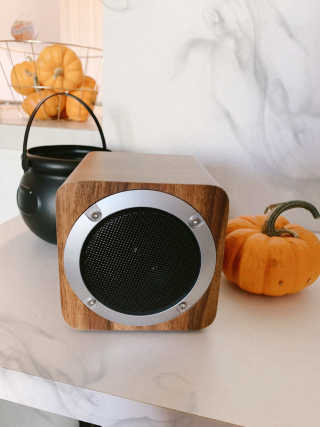 SEVIZ MINI10W 레트로 블루투스 스피커 — 4.5점을 준 리뷰어가 2020년 10월 올린 사용 사진