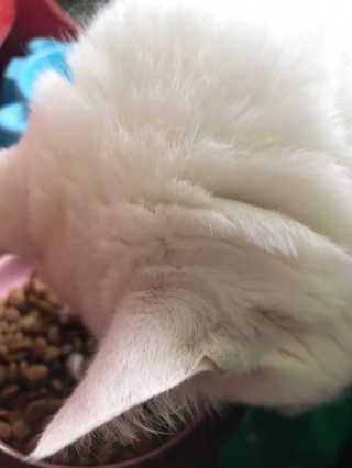vmintv님이 올린 리뷰 사진 4
