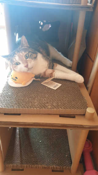 풀피리님이 올린 리뷰 사진 1