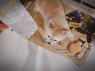 좋아님이 올린 리뷰 사진 4