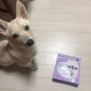 My Pet Care 천연단백질 치아건강에 개좋아 — 5점을 준 리뷰어가 2020년 12월 올린 사용 사진