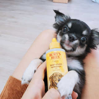 장성희님이 올린 리뷰 사진 2