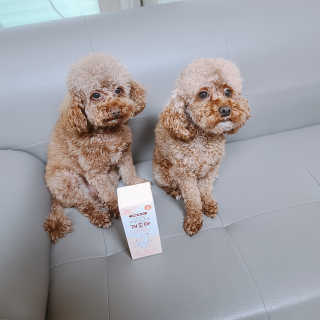 My Pet Care 모발과 모질 피부건강에 개좋아 — 5점을 준 리뷰어가 2020년 11월 올린 사용 사진