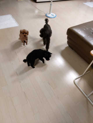 몽이님이 올린 리뷰 사진 1