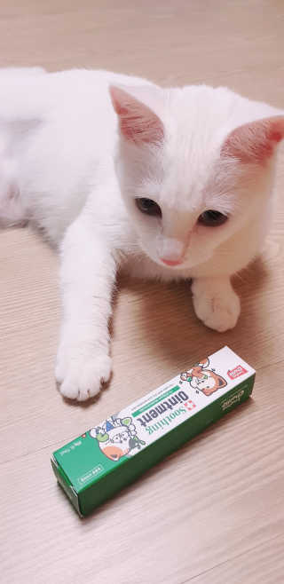 대박이님이 올린 리뷰 사진 2