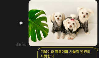 공팔리터님이 올린 리뷰 사진 2