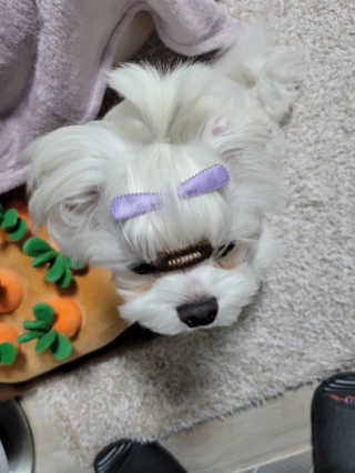 나란여자🤦‍♀️🤷‍♀️💁‍♀️님이 올린 리뷰 사진 3