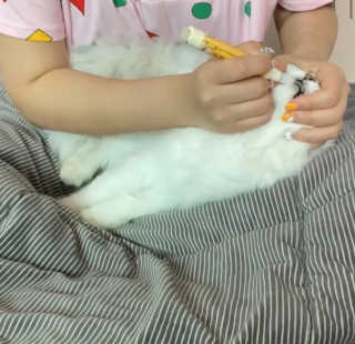 융융이님이 올린 리뷰 사진 2
