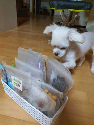 쮸동비님이 올린 리뷰 사진 1