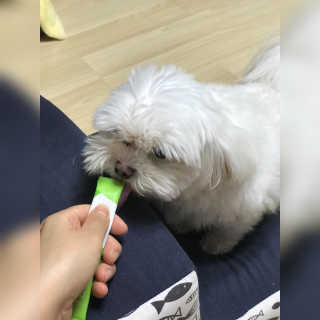 물끼님이 올린 리뷰 사진 4