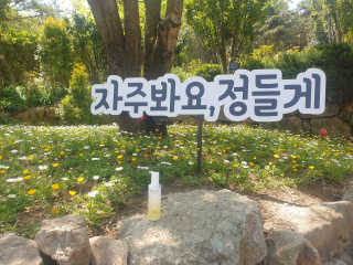 사막여우님이 올린 리뷰 사진 1