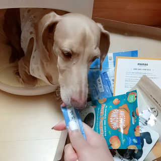 링고엄마님이 올린 리뷰 사진 3