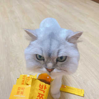 조은약초 국산 늙은 호박즙 호박쪼옥 젤리 20g x 15포 — 4점을 준 리뷰어가 2020년 7월 올린 사용 사진
