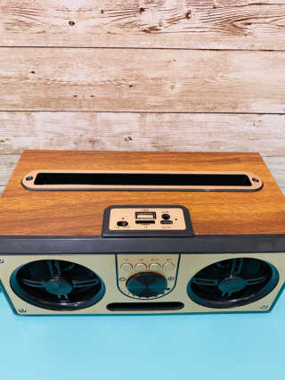 SEVIZ RETRO20W 레트로 블루투스 스피커 — 5점을 준 리뷰어가 2020년 6월 올린 사용 사진