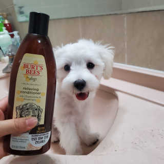 율마미님이 올린 리뷰 사진 2