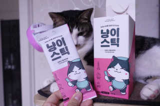 홍양님이 올린 리뷰 사진 4
