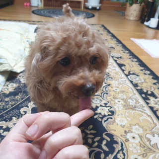 유나님이 올린 리뷰 사진 1