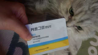 이영실님이 올린 리뷰 사진 2