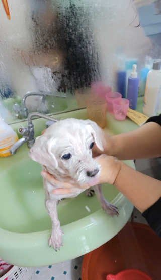 박지혜님이 올린 리뷰 사진 3