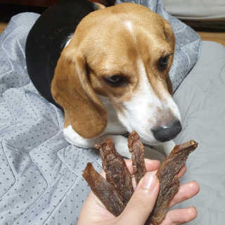 beaglelove님이 올린 리뷰 사진 3