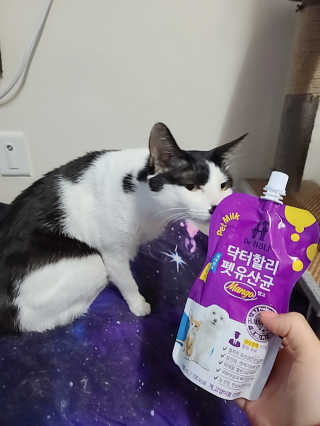 은지님이 올린 리뷰 사진 1