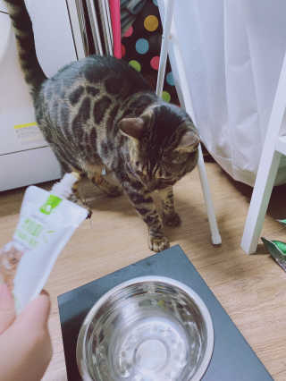방탄아미곰님이 올린 리뷰 사진 3