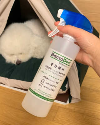윤긍정님이 올린 리뷰 사진 4