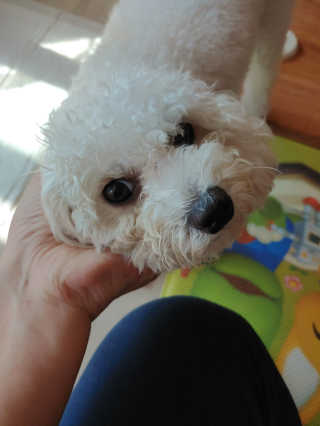 햇님달님님이 올린 리뷰 사진 3