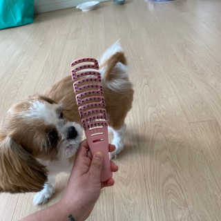 희공주님이 올린 리뷰 사진 2