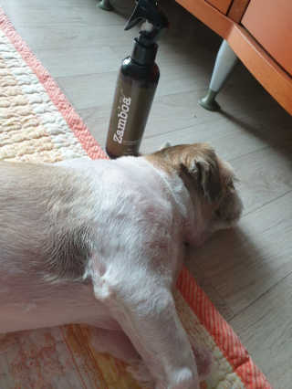 바푸니님이 올린 리뷰 사진 3