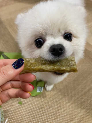 임수빈님이 올린 리뷰 사진 3