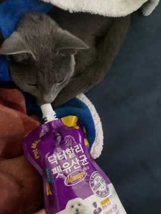꼬말론맘님이 올린 리뷰 사진 1