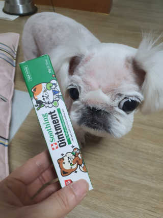 쭈똘지안님이 올린 리뷰 사진 2