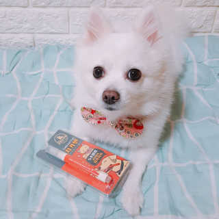 더펫원츠 [5초양치] 멍.치카펜 or 냥.치카펜 or 치카오일펜 — 5점을 준 리뷰어가 2020년 5월 올린 사용 사진