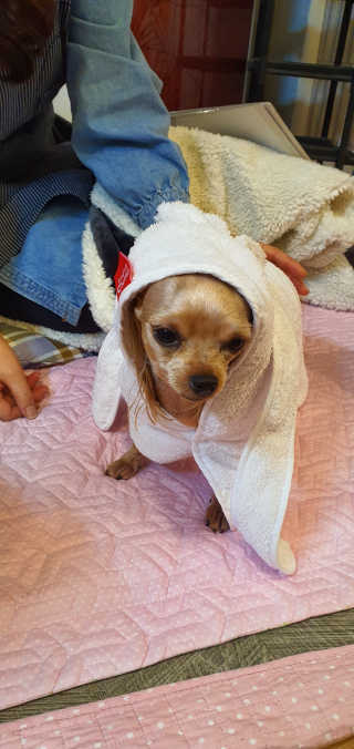 포포맘님이 올린 리뷰 사진 2