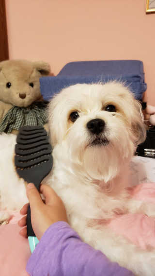 fellica님이 올린 리뷰 사진 1