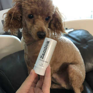 creed님이 올린 리뷰 사진 2