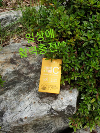 참살이님이 올린 리뷰 사진 1