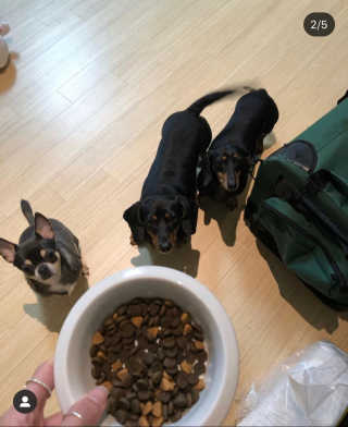 마루맘님이 올린 리뷰 사진 2