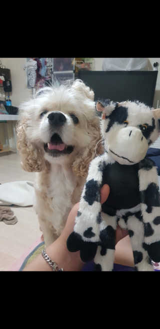조소민님이 올린 리뷰 사진 3