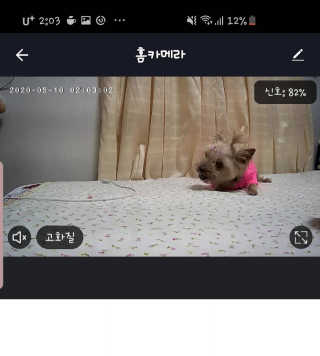 솜희님이 올린 리뷰 사진 2