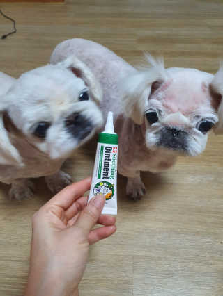 쭈똘지안님이 올린 리뷰 사진 1